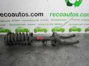 Stoßdämpfer Links Vorne 814901556719 Alfa Romeo 166 Limousine 2.4 JTD (AR34.202)