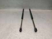 Gasdruckfedern Set Hinten 51883050 Fiat 500L (199) Großraumlimousine 1.3 D 16V Multijet Euro 5 (199.B.4000)