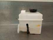 AusgleichbehÃ¤lter - 254301J000 Hyundai i20 SchrÃ¤gheck 1.2i 16V (G4LA)