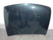 Motorhaube 1014869 Ford Fiesta 4 SchrÃ¤gheck 1.25 16V (DHA)
