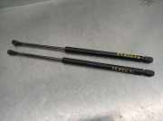 Gasdruckfedern Set Hinten 6895002041 Toyota Corolla (E12) Schrägheck 1.4 D-4D 16V (1NDTV)