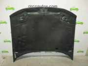 Motorhaube VERDE Renault (B54) 2.5 20V CAT