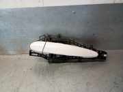 Türgriff Außen Links Hinten 51217207561 BMW 3 serie Touring (F31) Kombi 330d xDrive 3.0 24V (N57-D30A)