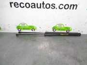 Gasdruckfedern Set Hinten 9639168380 Citroën Saxo Schrägheck 1.5 D (TUD5(VJX))