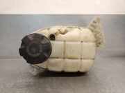 Ausgleichbehälter - 17137609468 BMW 3 serie Touring (F31) Kombi 320d 2.0 16V (N47-D20C)