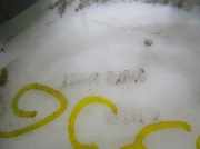 Tankschwimmer 7701002040 Toyota Avensis Wagon (T25/B1E) Kombi 2.0 16V D-4D (1CD-FTV)