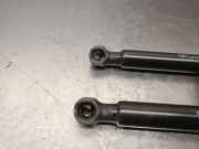 Türgriff Innen Links Hinten 51219800937 Mini Countryman (R60) SUV 1.6 Cooper D (N47-C16A)