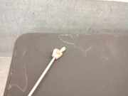 Hutablage 8V41S55066AC32N5 Ford Kuga I SUV 2.0 TDCi 16V 140 (UFDA)