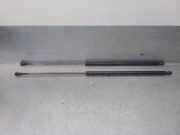 Gasdruckfedern Set Hinten 9630662480 Peugeot 406 (8B) Limousine 2.0 HDi 90 (DW10TD(RHY))