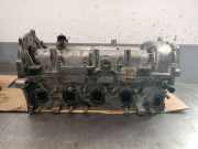 Zylinderkopf 55231550 Fiat Fiorino (225) Van 1.3 JTD 16V Multijet (199.A.9000(Euro 5))
