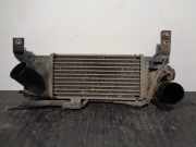 Schließplatte Kühlerträger 7750430587 Renault Scénic I (JA) -> 1999, Zie MEGANE Großraumlimousine 1.9 dCi RX4 (F9Q-740)