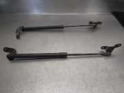 Gasdruckfedern Set Hinten 51247060622 BMW 1 (E87) 118 d