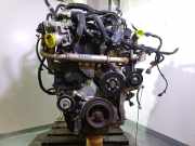 Motor YD25 Nissan (R51) 2.5 dCi Diesel CAT