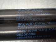 Gasdruckfedern Set Hinten 00520635000 Fiat TIPO II (357) FAM Easy