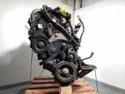 Motor 9HX Santana 300/350 GelÃ¤ndewagen 1.6 HDI (DV6ATED4(9HX))