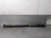 Stoßdämpfer Links Hinten 4180079J02 Suzuki SX4 (EY/GY) SUV 1.6 16V VVT Comfort,Exclusive (M16A VVT)