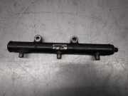 Einspritzd?sen D?senstock A2C20001330 Peugeot 607 (9D/U) Limousine 2.7 HDi V6 24V (DT17TED4(UHZ))