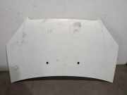 Motorhaube 51841326 Fiat Doblo Cargo (223) Van 1.3 D 16V Multijet (199.A.2000)