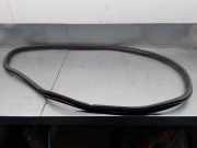 Türgummis 50543588 Alfa Romeo Giulia (952) Limousine 2.2d 180 16V (55268532)