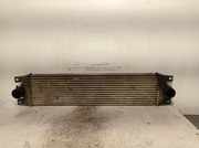 Ladeluftkühler 7701057121 Nissan Interstar (X70) Van 2.5 dCi 16V 120 (G9U-650)