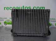 Schließplatte Kühlerträger 620780001R Renault III (BT0/1) 2.0 dCi (BT01, BT08, BT09, BT0E, BT0K, BT12, BT1C, BT1D,...