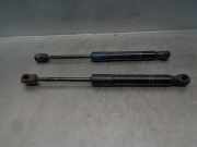 Gasdruckfeder Set Vorne 51237255812 BMW 3 serie (F30) Limousine 328d 2.0 16V (N47-D20C)