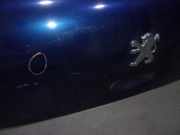 Handschuhfach 685000924R Dacia 1.5 dCi Diesel FAP CAT