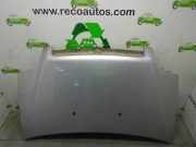 Motorhaube MODELO119 Fiat DOBLO CARGO (223) 1.9 JTD CAT