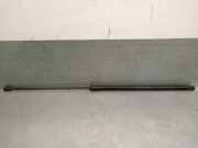 Gasdruckfeder Set Vorne A1779800100 Mercedes-Benz A (177.0) Schrägheck 1.5 A-180d (OM608.915(K9K-U8))