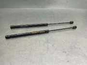 Gasdruckfedern Set Hinten 7774707 Fiat Bravo (182A) Schrägheck 3-drs 1.9 JTD (182.B.9000(Euro 3))