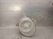 Blinker Rechts Vorne A0999060251 Mercedes-Benz B (W246/W242) SchrÃ¤gheck 1.8 B-180 CDI BlueEFFICIENCY 16V (OM651.901(Euro 5))