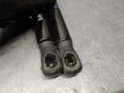 Gasdruckfeder Set Vorne 81161C5000 Kia Sorento III (UM) SUV 2.2 CRDi 16V VGT 4x4 (D4HB)