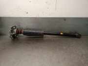 Stoßdämpfer Links Hinten 52063754 Fiat 500L (199) Großraumlimousine 1.3 D 16V Multijet (55283775)