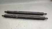Gasdruckfedern Set Hinten 51247201940 BMW (E71, E72) xDrive 35 d