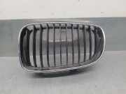 Grill 51137322209 BMW 1 Descapotable (E88) 118 d