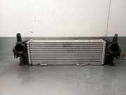 Ladeluftkühler 17518582879 BMW X3 (G01) SUV xDrive 20d 2.0 TwinPower 16V Mild Hybrid (B47-D20B)