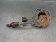 Motorsteuergerät 8200311550 Renault IV (JK0) Grand Dynamique