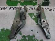 Motorhaubescharnier Renault SCENIC II 2.0