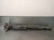 Stoßdämpfer Links Hinten 55700452 Fiat Grande Punto (199) Schrägheck 1.3 JTD Multijet 16V (199.A.2000)