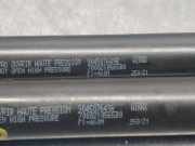 Gasdruckfedern Set Hinten 904507649R Renault Captur II (RJB) SUV 1.3 TCe 155 16V (H5H-470(H5H-B4))