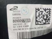 T?rverkleidung Rechts Vorne 809002708R Renault GRAND SC?NIC IV (R9_) 1.3 TCe 140