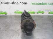 Stoßdämpfer Rechts Hinten RPB101640 Land + Range Rover Freelander Hard Top Geländewagen 2.0 di (20LTCIE)