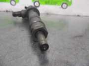 Kraftstoff-Injector 0445110119 Fiat Doblo Cargo (223) Van 1.9 JTD (223.A.7000)