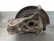 Achsschenkel Halter Rechts Vorne 3C0407254F VOLKSWAGEN PASSAT VARIANT (365) 2.0 TDI