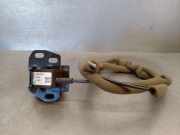 Heckschloss 905920001R Renault MASTER III Furgoneta (FV) 2.3 dCi 135 FWD (FV0N, FV08)