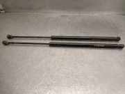 Gasdruckfedern Set Hinten 1354844080 Fiat Qubo Großraumlimousine 1.3 D 16V Multijet (199.B.1000)