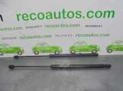 Gasdruckfedern Set Hinten 90450BM400 Nissan Almera (N16) Schrägheck 2.2 Di 16V (YD22)