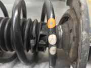 Bremssattel Links Hinten 1617936980 Peugeot Expert (V1/VA/VB/VE/VF/VT/VY) Van 1.6 Blue HDi 115 (DV6FC(BHX))