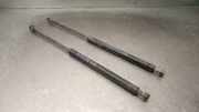 Gasdruckfedern Set Hinten 6895009140 Toyota Avensis (T25/B1B) Limousine 2.0 16V VVT-i D4 (1AZFSE)