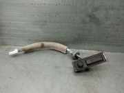 Handgriff Kofferraum 253806PA1A Nissan Juke (F16) SUV 1.0 DIG-T 12V (HR10DDT(H5D))